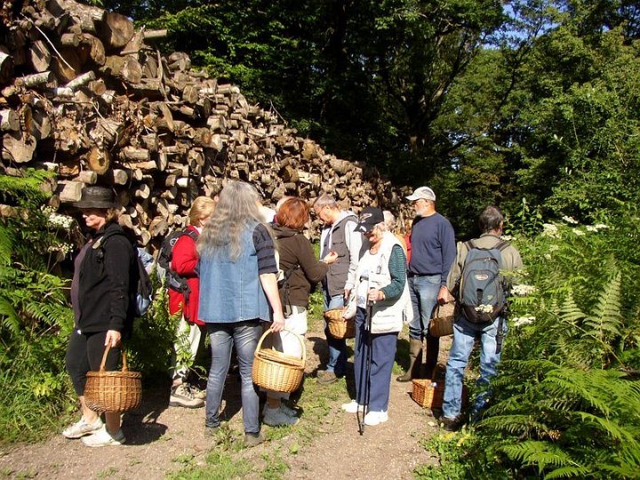 2011 07  Myco bois des Plainvaux 12